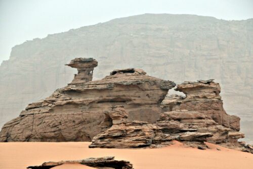 DSC 0206 - Copy (1) (1)