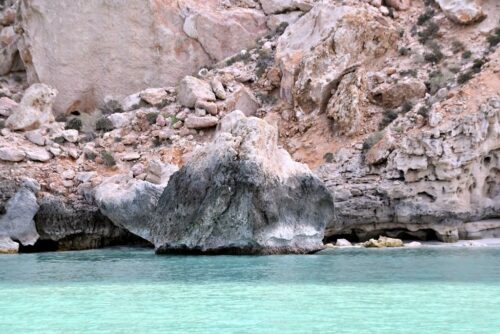 DSC 0214 (1) (1) (1) (1)