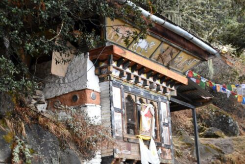 DSC 0220 (1) (1) (1)