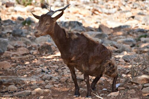 DSC 0226 (1) (1) (1) (1) (1) (1) (1)