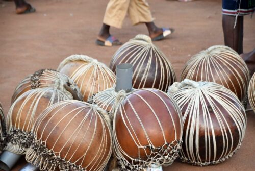 DSC 0231 (1) (1) (1) (1) (1)