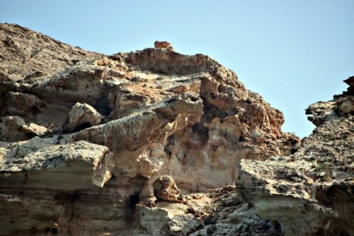 DSC 0243 (1) (1) (1)