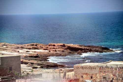 DSC 0246 (1) (1) (1) (1) (1)