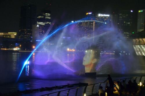 DSC 0253 (1)