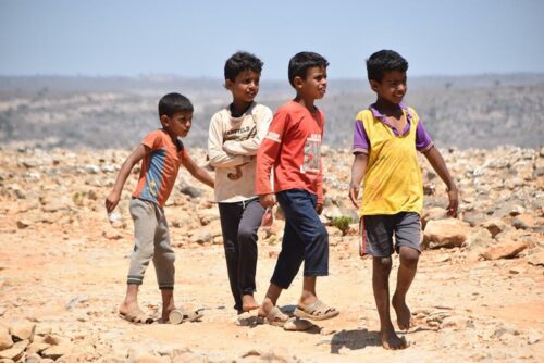 DSC 0253 (1) (1) (1) (1) (1) (1)