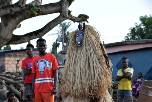 DSC 0255 (1) (1) (1) (1) (1)