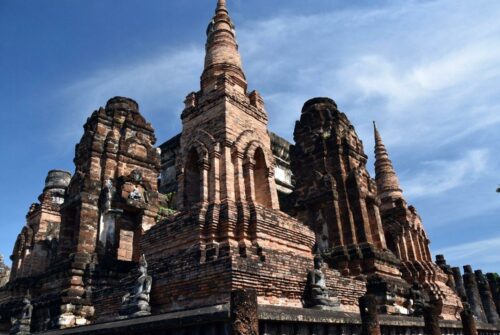 DSC 0261 (1) (1) (1)