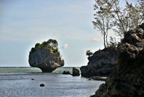 DSC 0261 (1) (1) (1) (1)