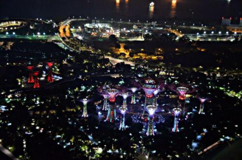 DSC 0263 (1) (1)