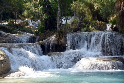 DSC 0265 (1) (1) (1)
