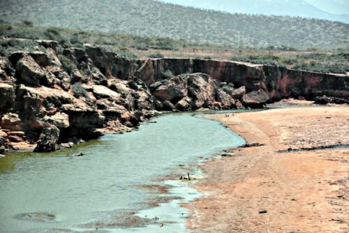 DSC 0266 (1) (1) (1)