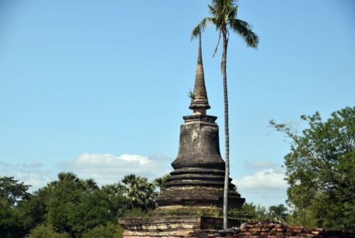 DSC 0268 (1) (1) (1)