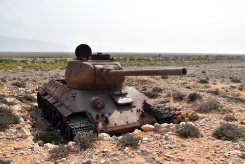 DSC 0272 (1) (1) (1)