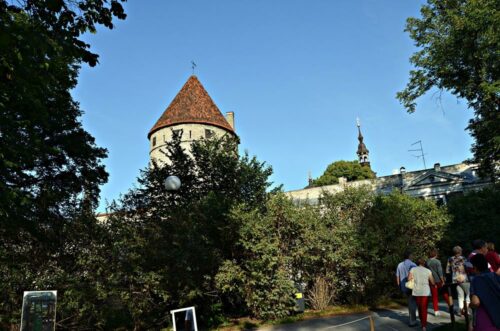 DSC 0286 (1)