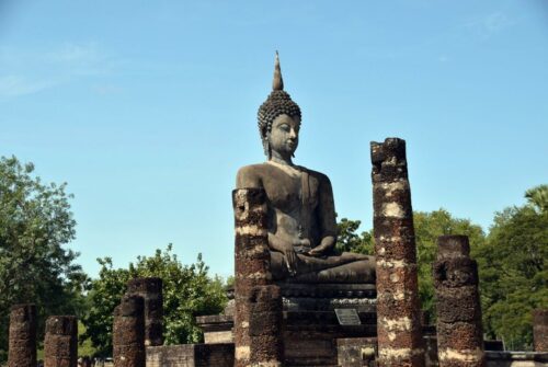 DSC 0288 (1) (1) (1)