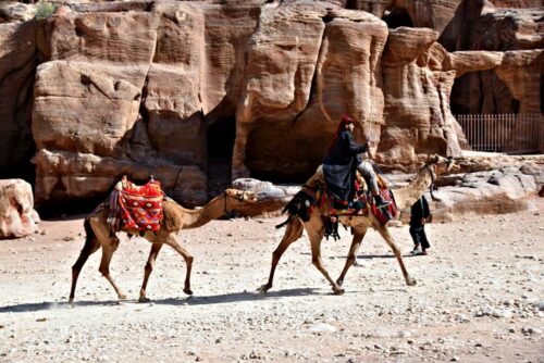 DSC 0293 (1)