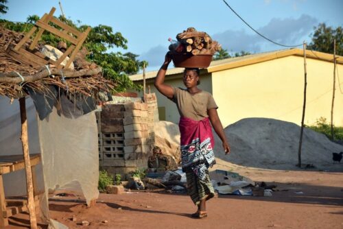 DSC 0296 (1) (1) (1)