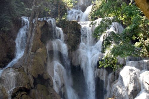 DSC 0299 (1) (1) (1) (1)