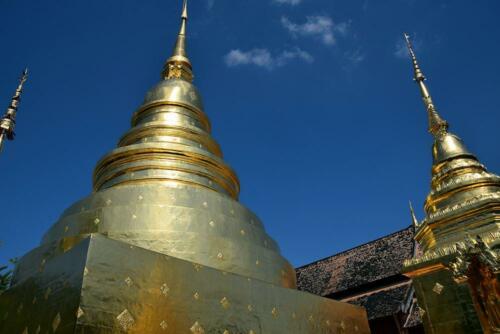 DSC 0302 (1) (1)