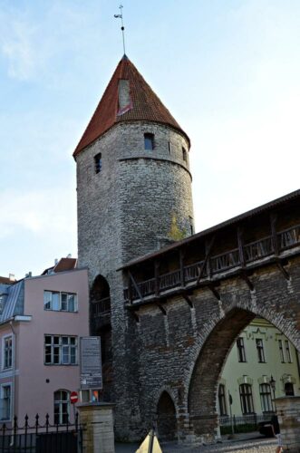 DSC 0307 (1) (1) (1)