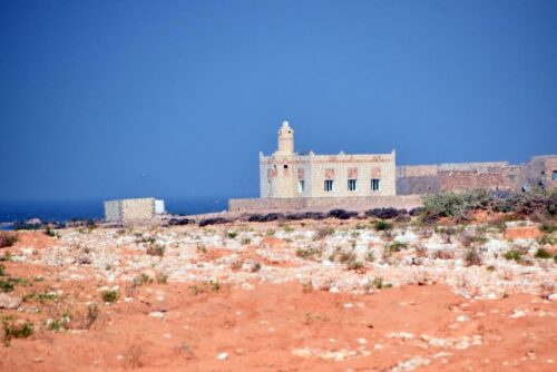 DSC 0313 (1) (1) (1)