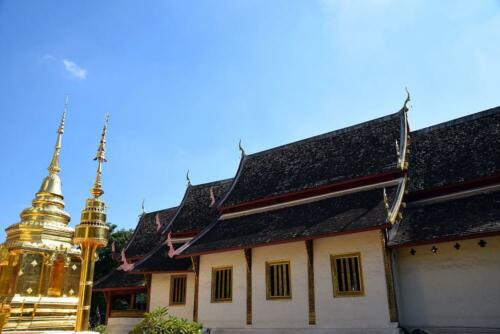 DSC 0314 (1) (1) (1)