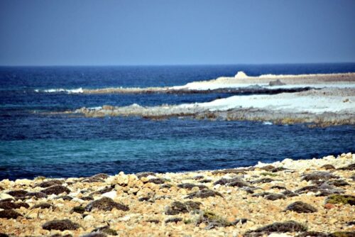 DSC 0314 (1) (1) (1) (1)