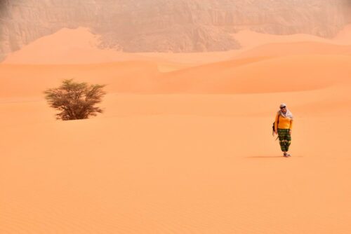 DSC 0316 (1) (1) (1) (1)