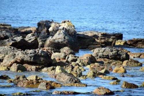DSC 0317 (1) (1)