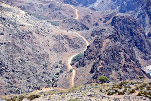 DSC 0318 (1) (1) (1)