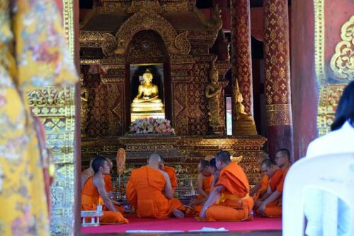 DSC 0319 (1) (1)