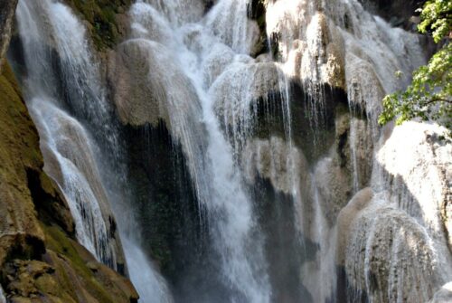 DSC 0319 (1) (1) (1)