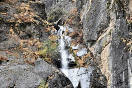 DSC 0322 (1) (1) (1)