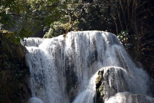 DSC 0322 (1) (1) (1) (1)