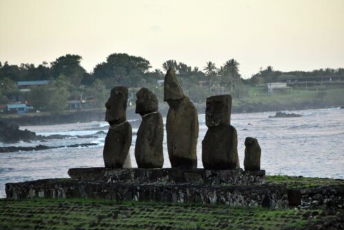 DSC 0326 (1) (1) (1) (1)