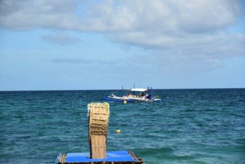 DSC 0331 (1) (1)