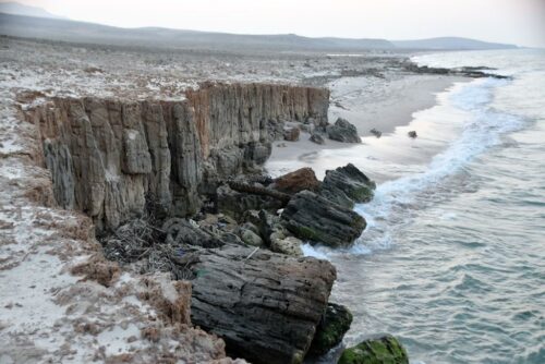 DSC 0341 (1) (1) (1)