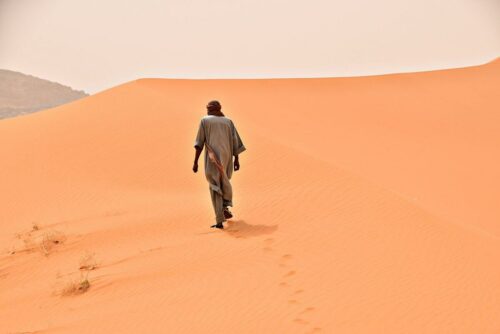 DSC 0343 (1) (1) (1)