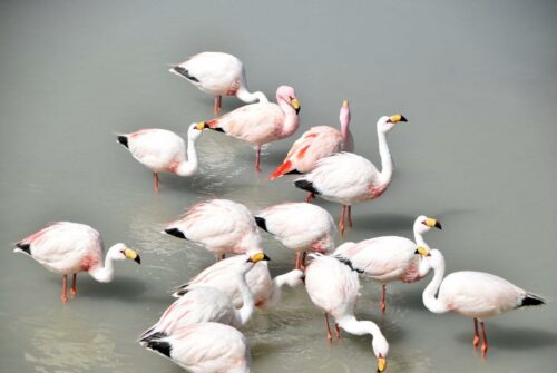 DSC 0353 (1) (1) (1)