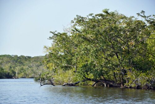 DSC 0363 (1) (1) (1)