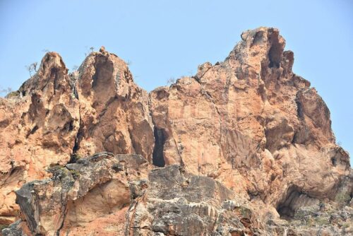 DSC 0363 (1) (1) (1) (1)