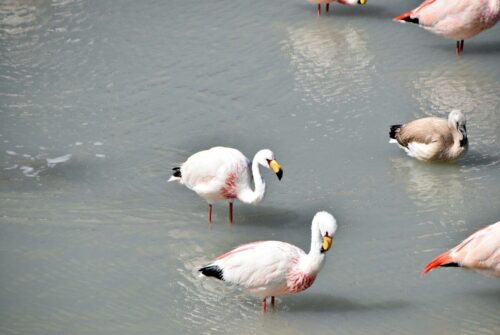 DSC 0369 (1) (1) (1)