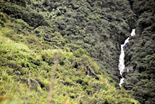 DSC 0373 (1) (1) (1) (1)
