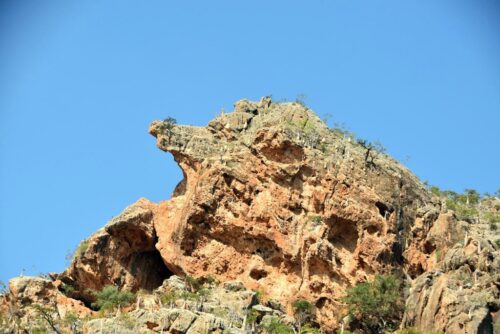 DSC 0374 (1) (1) (1)