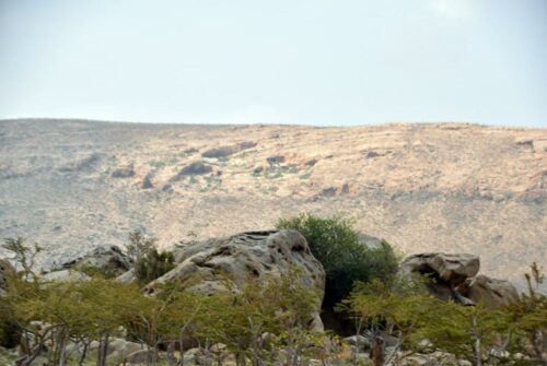 DSC 0378 (1) (1) (1) (1)