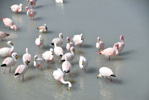 DSC 0380 (1) (1) (1) (1)