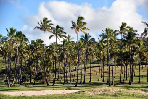 DSC 0383 (1) (1) (1)