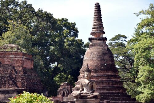 DSC 0388 (1) (1) (1) (1) (1)