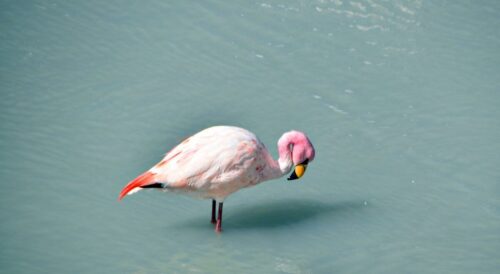 DSC 0394 (1) (1) (1) (1)