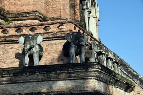 DSC 0398 (1) (1)
